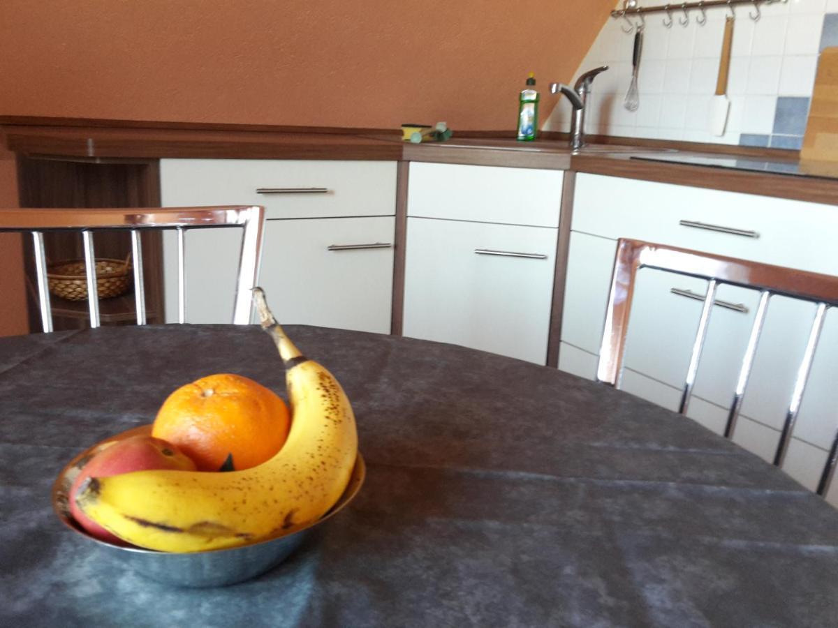 Ferienwohnung Dresden West エクステリア 写真